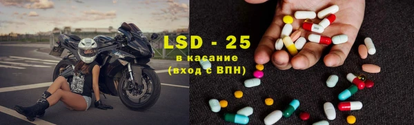 шишки Балахна