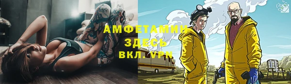шишки Балахна