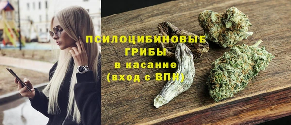 шишки Балахна