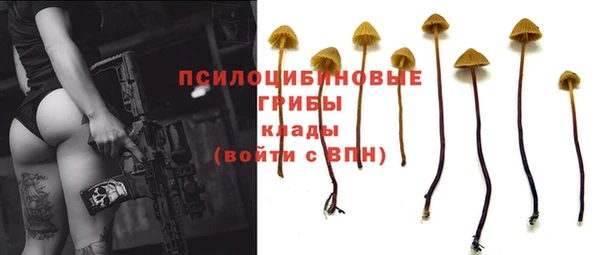 шишки Балахна