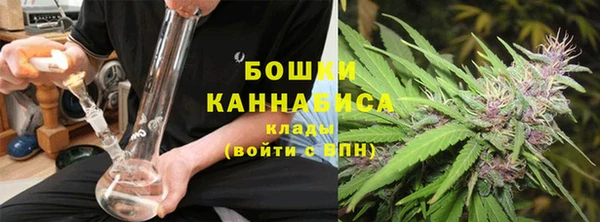 шишки Балахна