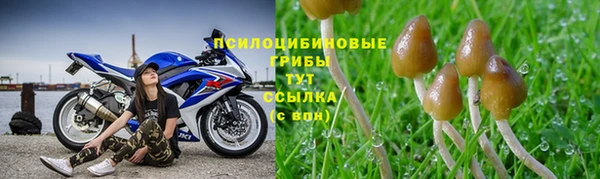 марихуана Баксан