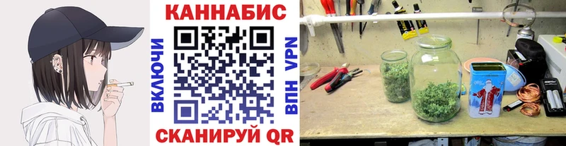 Шишки марихуана AK-47  купить закладку  Иноземцево 